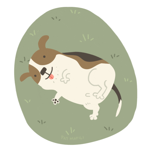 dog cuteness GIF