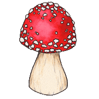 artbymr mushroom shrooms mushrooms flyagaric Sticker