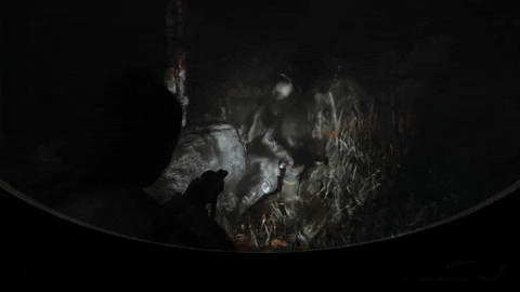 aleksandradaniel giphyupload GIF