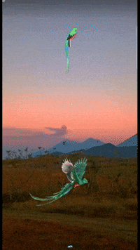 Guatemala Maya GIF