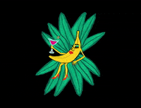 officialtheebouffants beauty pretty fruit banana GIF