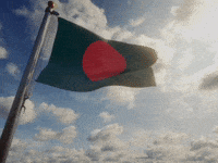 National Flag GIF