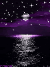 moonlight GIF