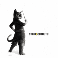 Alley Cats GIF by STARCUTOUTSUK