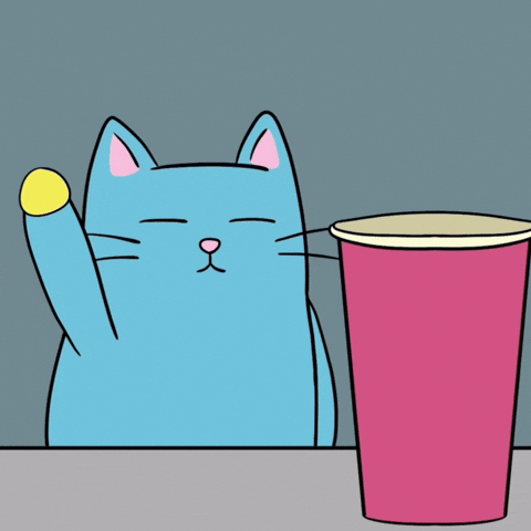 Cat Oops GIF