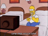 homer simpson episode 20 GIF