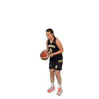 Shoot Tire Sticker by SOH Basketball