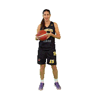 Celebration Pass Sticker by SOH Basketball