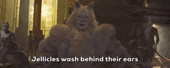 Cats 2019 GIF by Vulture.com