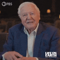Pondering David Attenborough GIF by PBS