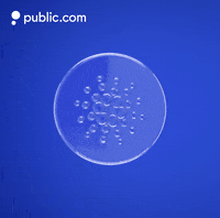 PublicApp crypto cryptocurrency coin ada GIF