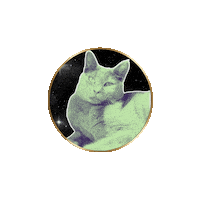Cats Yawn Sticker