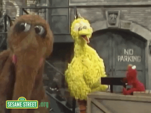 big bird GIF by Sesame Street