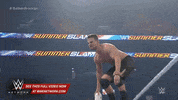 wwe sports wwe wrestling 2015 GIF