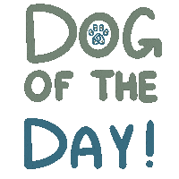 Dog Of The Day Sticker by CanineRetreat_CA