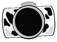 Photography Smile Sticker by Brady