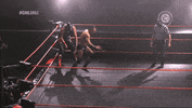Fight Wrestling GIF by CNL Chile