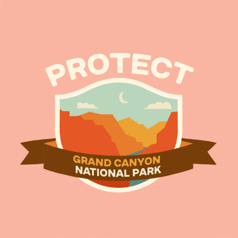 Digital art gif. Inside a shield insignia is a cartoon image of a steep canyon in orange and yellow. Text above the shield reads, "protect." Text inside a ribbon overlaid over the shield reads, "Grand Canyon National Park," all against a pale pink backdrop.