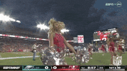 National Football League GIF by NFL