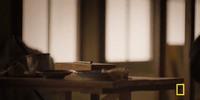 genius picasso GIF by National Geographic Channel