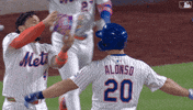Polar Bear Baseball GIF by New York Mets