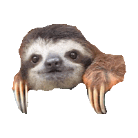sloth STICKER by imoji
