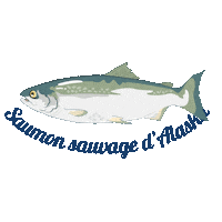 Ocean Swimming Sticker by Alaska Seafood