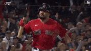 Major League Baseball Sport GIF by MLB
