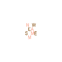 Celebrate New Year Sticker by Mat Voyce
