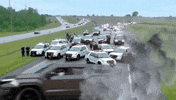 Roadblock Panda GIF by Endangered Labs