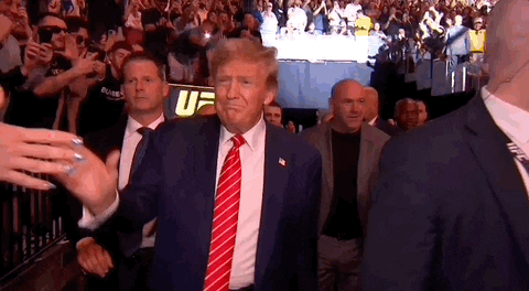Donald Trump Sport GIF by UFC