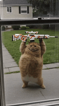 Trending Aura GIF by Darwin