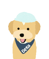Toy Poodle Spa Sticker