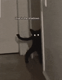 Batman Gotham GIF