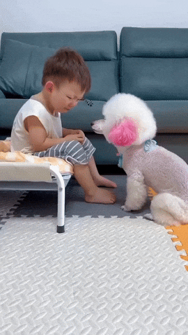 cuteanimalland giphyupload GIF