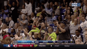 wnba dallas wings GIF