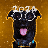 Dog Pet GIF