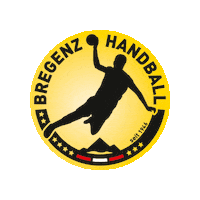 Game Sport Sticker by Bregenz Handball