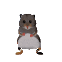 Happy Dance Sticker by Dedoles