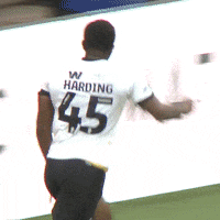 The Lions Football GIF by MillwallFC