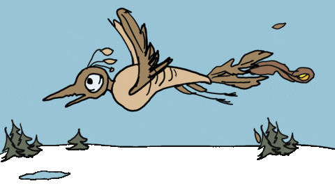 Bird Птица Sticker