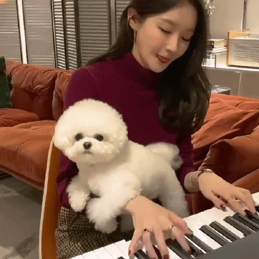 cdongsoo giphyupload GIF