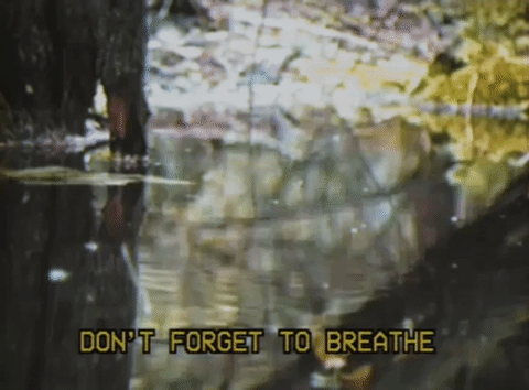 glitchedmemories giphyupload GIF