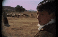 Division GIF by Jenevieve