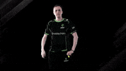 Card Spidii GIF by Sprout