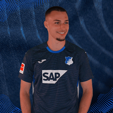 Sport Bundesliga GIF by TSG Hoffenheim