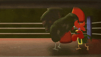 Fight Me Fight Night GIF
