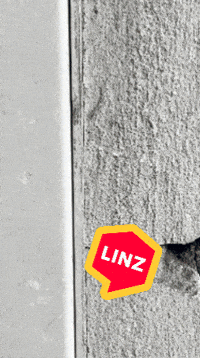 Austria Rescue GIF by Linz News