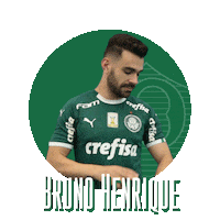 its time soccer Sticker by SE Palmeiras