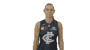 Carlton Fc Blues Sticker by Carlton Football Club